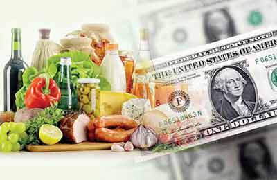 آغاز پرداخت ارز کالاهای اساسی در سال جدید به زودی