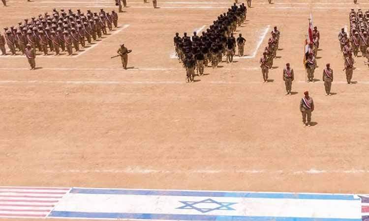 کشف شبکه جاسوسی آمریکا و اسرائیل در یمن