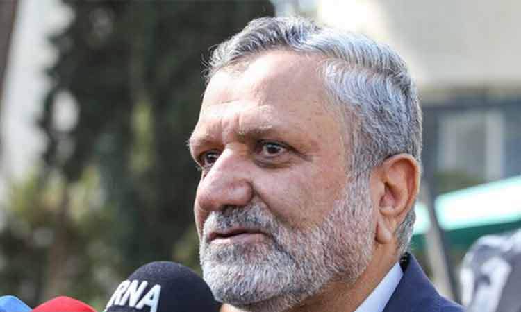 صولت مرتضوی: آمده‌ام که بمانم