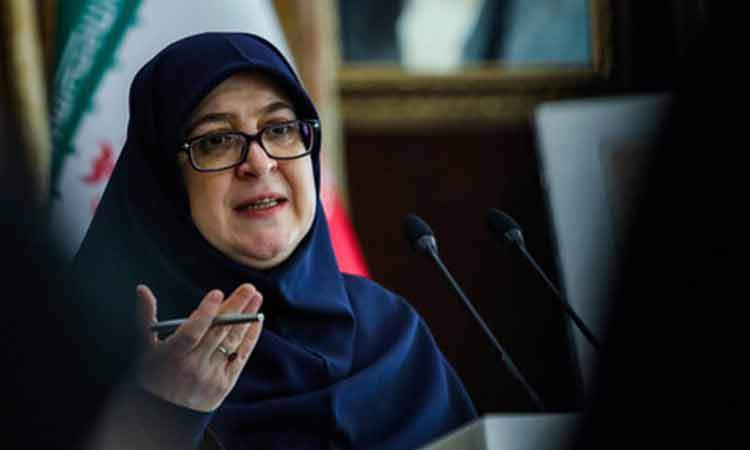 مهاجرانی: وزیر دادگستری در حال پیگیری پرونده دو خبرنگار است