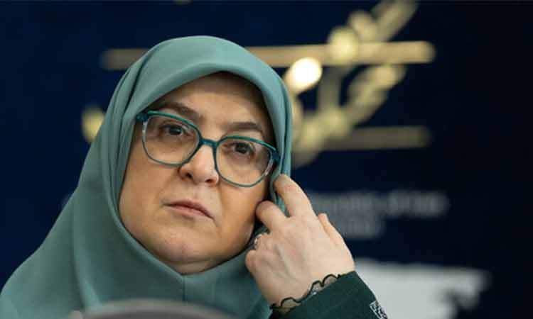 مهاجرانی: دولت از افزایش قیمت دلار سود نمی‌برد