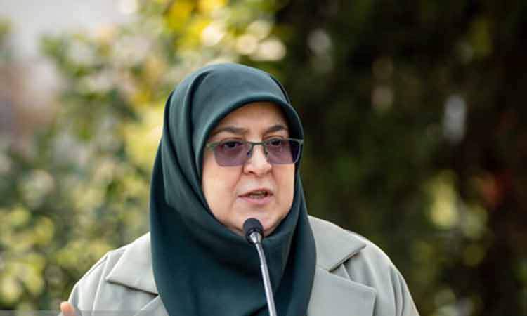 مهاجرانی: زمان معرفی وزیر اقتصاد ارتباطی با روند مذاکرات ندارد