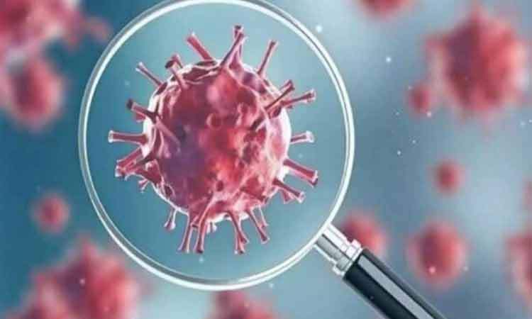 افزایش آرام کرونا در کشور