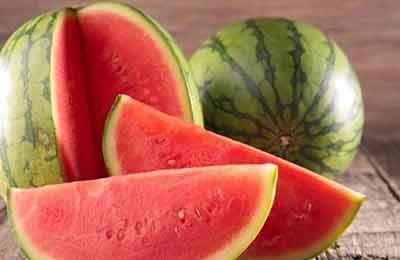 واکنش فلسفی به ادعای نماینده دومای روسیه درباره هندوانه ایرانی