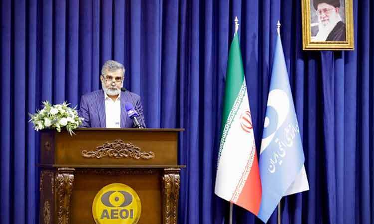 کمالوندی: گفت‌وگوهای تهران فرصتی برای تقویت جایگاه منطقه خلیج فارس در نظم بین‌المللی است
