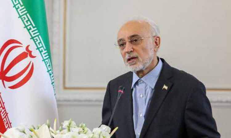 صالحی: هر گونه چشم طمع به آب و خاک ایران، محکوم به شکست است