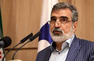 کمالوندی: ادبیات مدیرکل درباره ایران خاص و من‌درآوردی است