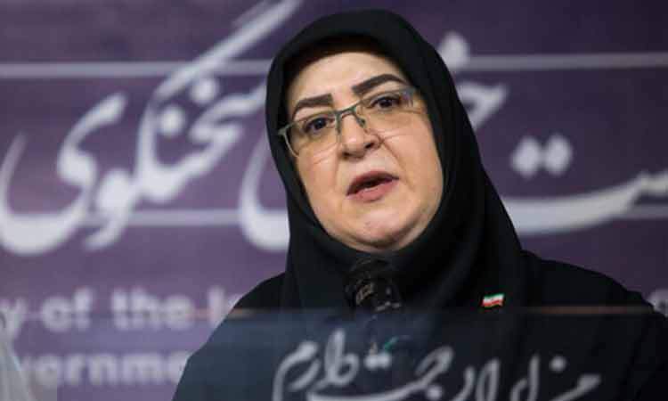 سخنگوی دولت: تندروی به معنای پیروی از ولایت نیست
