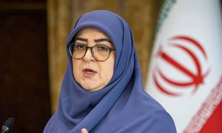 مهاجرانی: گفت‌وگو در خصوص مسائل هسته‌ای با شرایط پیچیده مواجه شده است