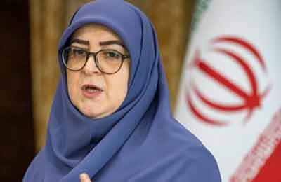 مهاجرانی: گفت‌وگو در خصوص مسائل هسته‌ای با شرایط پیچیده مواجه شده است
