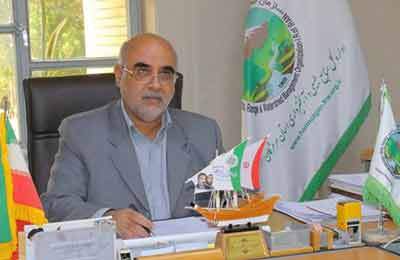 تشکیل پرونده تخلف برای ریشه‌کنی درختان کهور / قطع یک درخت کهنسال