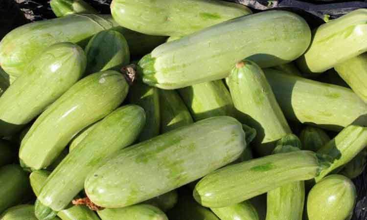 یک خوردنی مفید برای کاهش نفخ