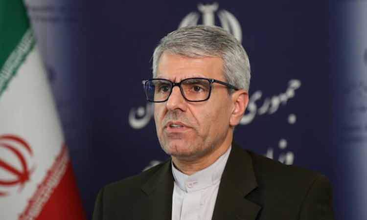 بقائی: پیگیری‌ها برای آزادی مشروط و انتقال مهدیه اسفندیاری به مکانی خارج از زندان ادامه دارد