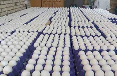 تخم‌مرغ داریم، ارز نداریم!/ذرت و سویا پشت درهای گمرک مانده‌اند