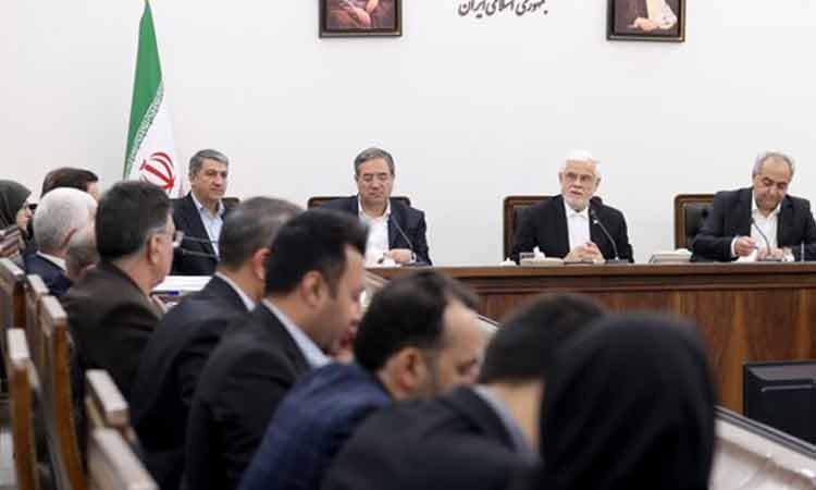 عارف: تشکل‌های محیط زیستی به دلیل برخوردهای امنیتی که در گذشته با آنها شد، با احتیاط عمل می‌کنند