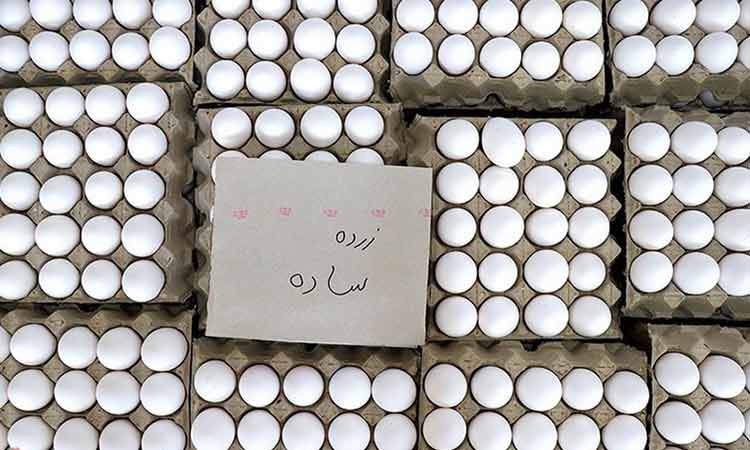 قیمت جدید تخم مرغ کیلویی 77 هزار تومان درب مرغداری اعلام شد