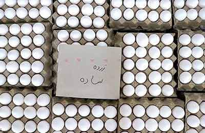 قیمت جدید تخم مرغ کیلویی 77 هزار تومان درب مرغداری اعلام شد